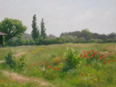 Summer Meadow 27 x 35 cm